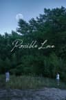 Possible Love
